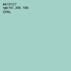 #A1D1C7 - Opal Color Image