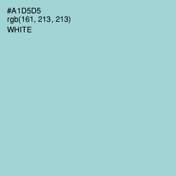 #A1D5D5 - Aqua Island Color Image