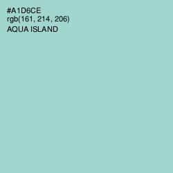 #A1D6CE - Aqua Island Color Image