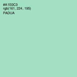 #A1E0C3 - Padua Color Image