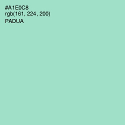 #A1E0C8 - Padua Color Image