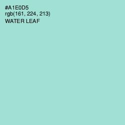 #A1E0D5 - Water Leaf Color Image