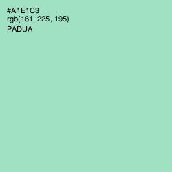 #A1E1C3 - Padua Color Image