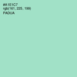 #A1E1C7 - Padua Color Image