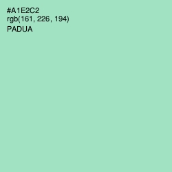 #A1E2C2 - Padua Color Image