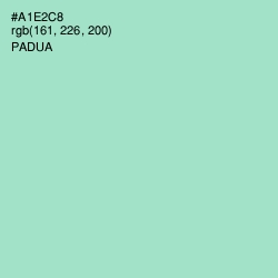 #A1E2C8 - Padua Color Image