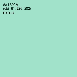 #A1E2CA - Padua Color Image