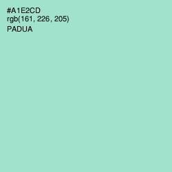 #A1E2CD - Padua Color Image