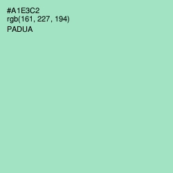 #A1E3C2 - Padua Color Image