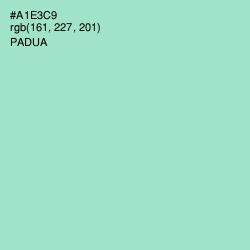 #A1E3C9 - Padua Color Image