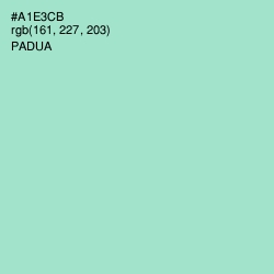 #A1E3CB - Padua Color Image