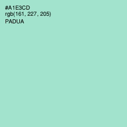 #A1E3CD - Padua Color Image