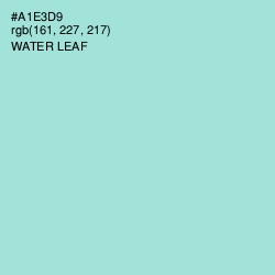 #A1E3D9 - Water Leaf Color Image