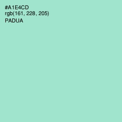 #A1E4CD - Padua Color Image