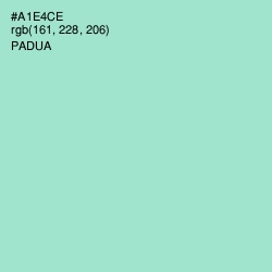 #A1E4CE - Padua Color Image