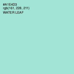 #A1E4D3 - Water Leaf Color Image