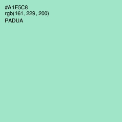 #A1E5C8 - Padua Color Image