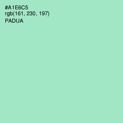 #A1E6C5 - Padua Color Image