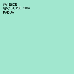 #A1E6CE - Padua Color Image