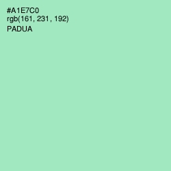 #A1E7C0 - Padua Color Image