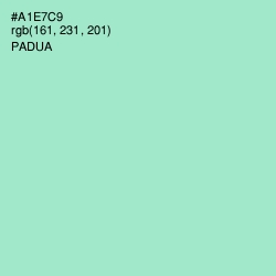 #A1E7C9 - Padua Color Image