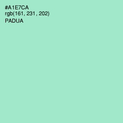 #A1E7CA - Padua Color Image