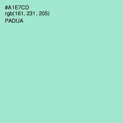 #A1E7CD - Padua Color Image