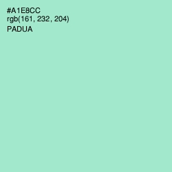 #A1E8CC - Padua Color Image