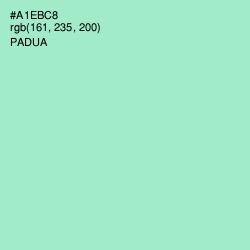 #A1EBC8 - Padua Color Image