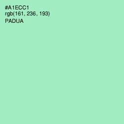 #A1ECC1 - Padua Color Image