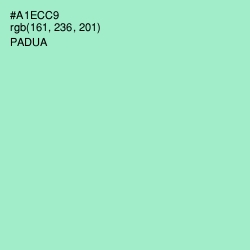 #A1ECC9 - Padua Color Image