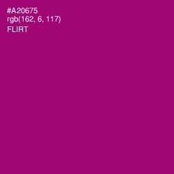 #A20675 - Flirt Color Image