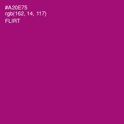 #A20E75 - Flirt Color Image