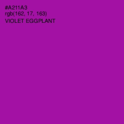 #A211A3 - Violet Eggplant Color Image