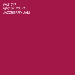 #A21747 - Jazzberry Jam Color Image