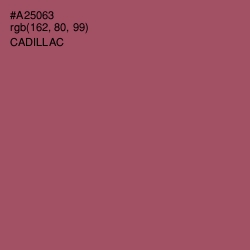 #A25063 - Cadillac Color Image