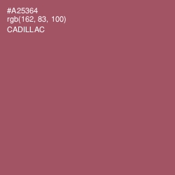 #A25364 - Cadillac Color Image