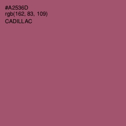 #A2536D - Cadillac Color Image