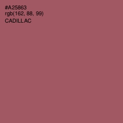 #A25863 - Cadillac Color Image