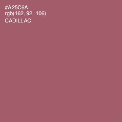 #A25C6A - Cadillac Color Image