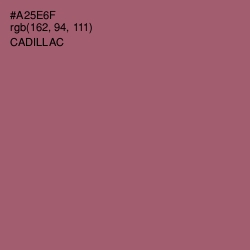 #A25E6F - Cadillac Color Image