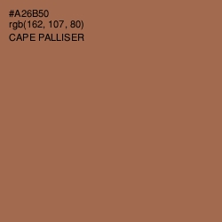 #A26B50 - Cape Palliser Color Image