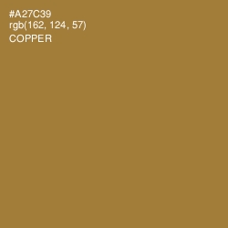 #A27C39 - Copper Color Image