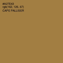 #A27E43 - Cape Palliser Color Image