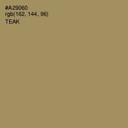 #A29060 - Teak Color Image