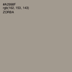 #A2998F - Zorba Color Image