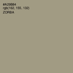 #A29B84 - Zorba Color Image