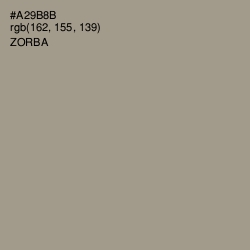 #A29B8B - Zorba Color Image