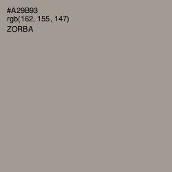 #A29B93 - Zorba Color Image