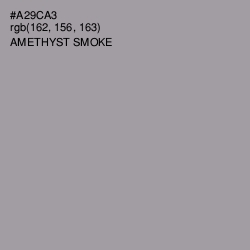 #A29CA3 - Amethyst Smoke Color Image